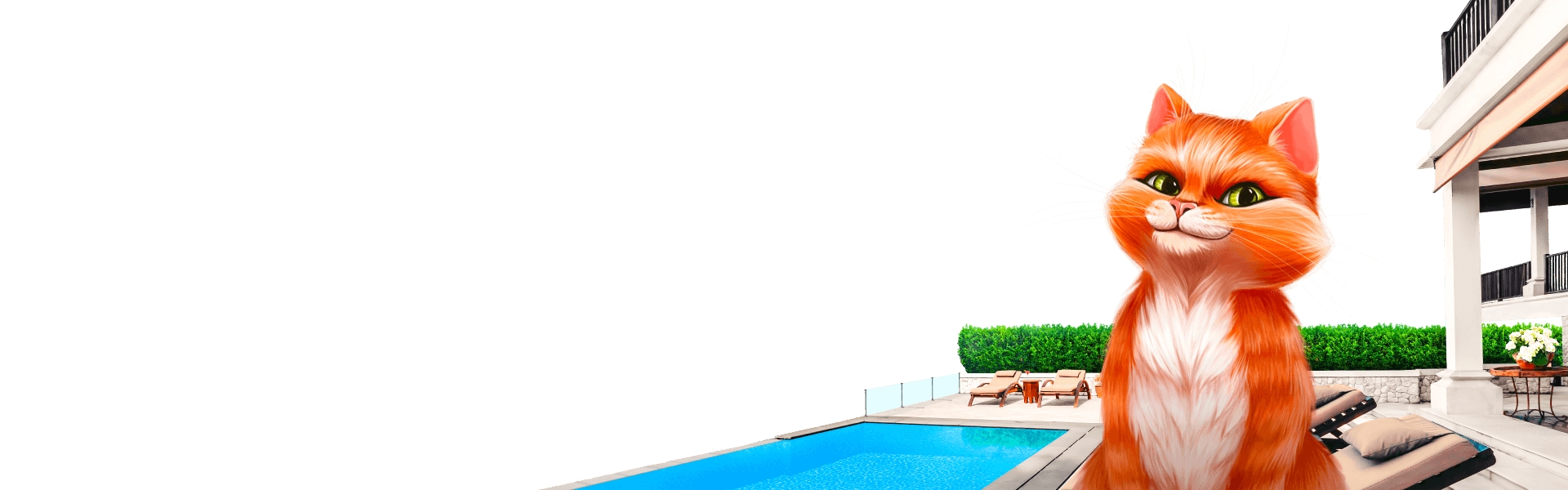Cazimbo Official Website: Online Casino and Sports Betting